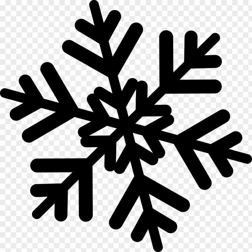 Snow Pictures Snowflake Clip Art PNG