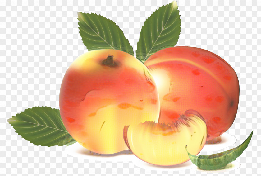 Clip Art Fruit Peach Image PNG