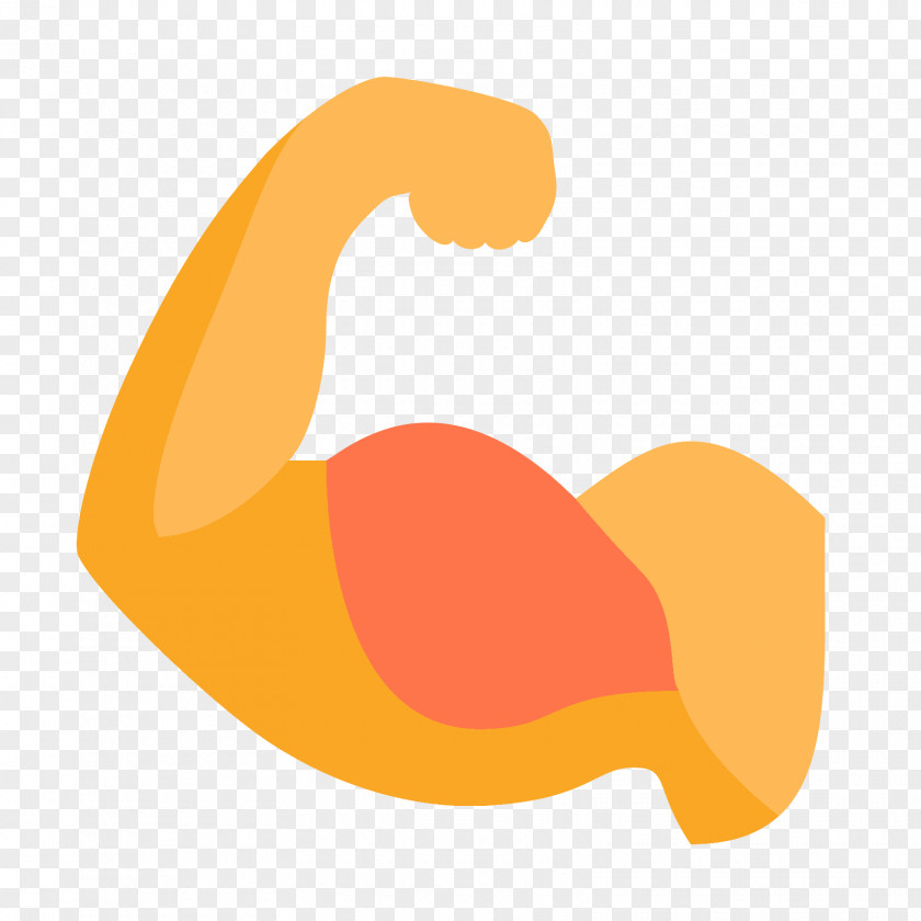 Database Biceps Muscle Arm PNG