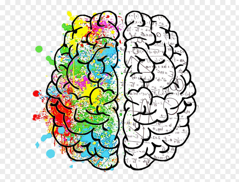 Lateralization Of Brain Function Cerebral Hemisphere Human Neuroscience PNG