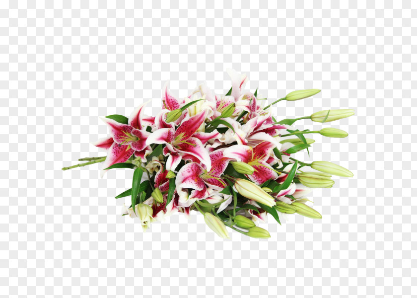 Lily Flower Bouquet Lilium 'Stargazer' Cut Flowers PNG