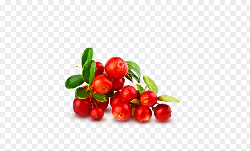 Strawberry Tree Cranberry Food Fruit Vaccinium Macrocarpon Cream PNG