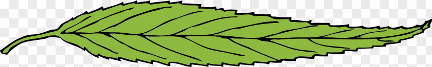 Thin And Small Leaf Clip Art Image PNG
