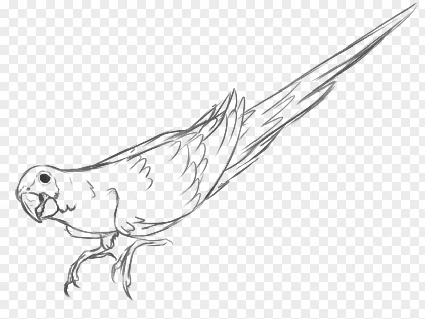 Feather Beak Marine Mammal Line Art Sketch PNG