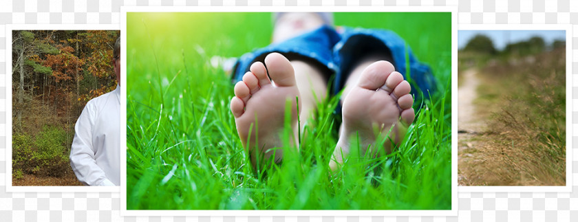 Foot Care Lawn Nail Therapy Fungus PNG