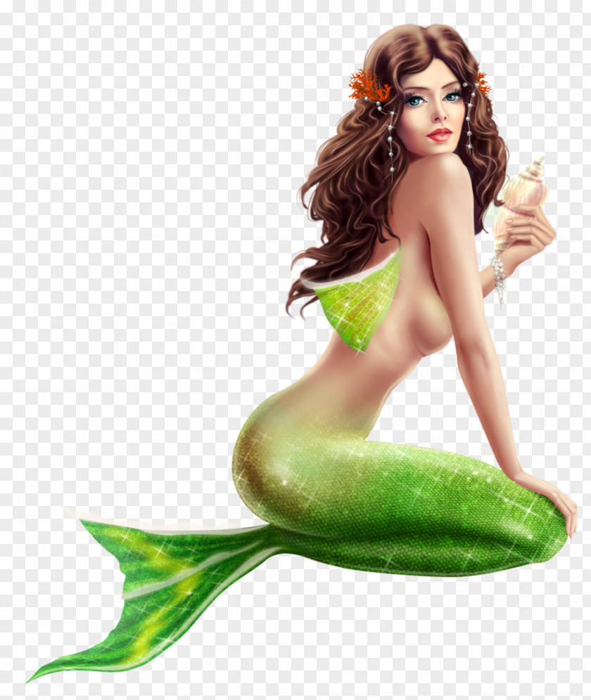Mermaid The Little Ariel Fairy PNG