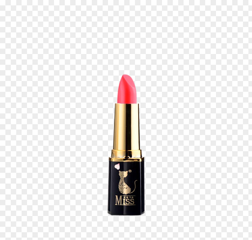 Pink Lipstick PNG