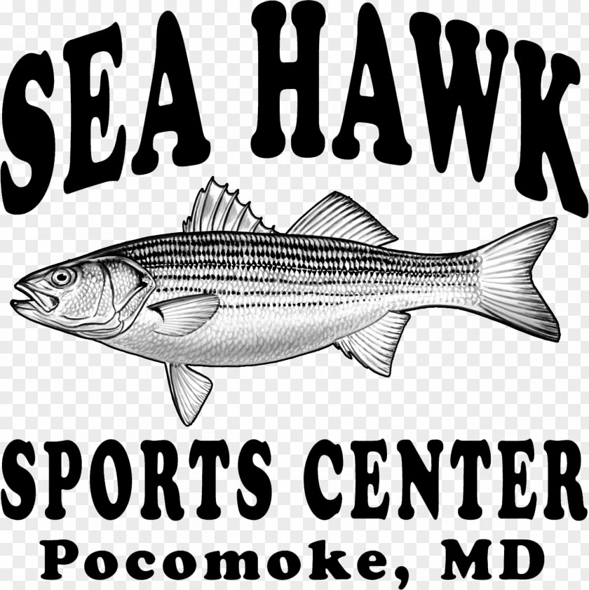 Sea Shore Hawk Sports Center Pocomoke City 09777 Salmon Fish Products PNG
