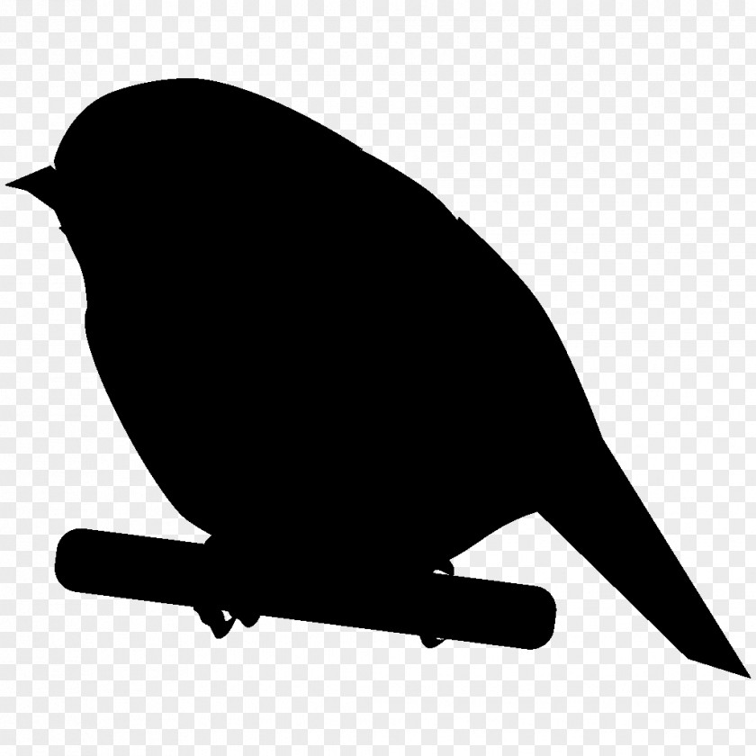 Beak Finches Clip Art Fauna Silhouette PNG