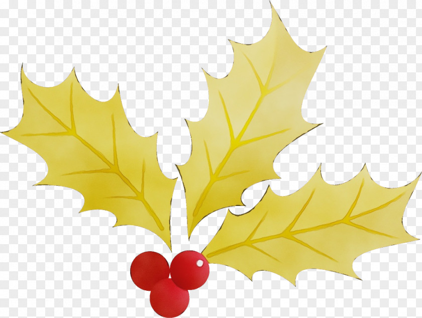 Black Maple Plane Leaf PNG