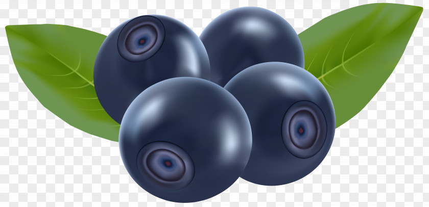 Blueberries Blueberry Clip Art PNG