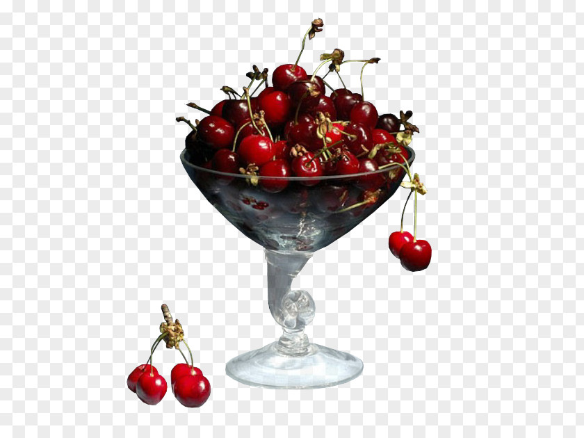 Cherry Cranberry Still Life Photography PNG