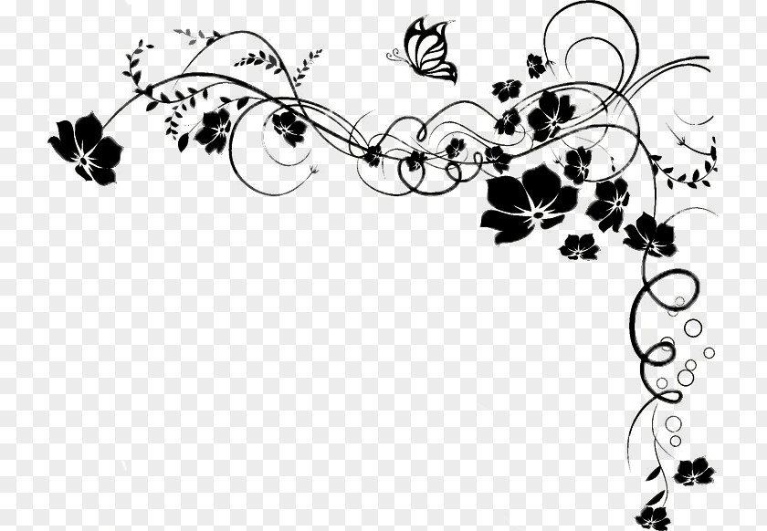 Flower Vine Morning Glory Drawing Clip Art PNG