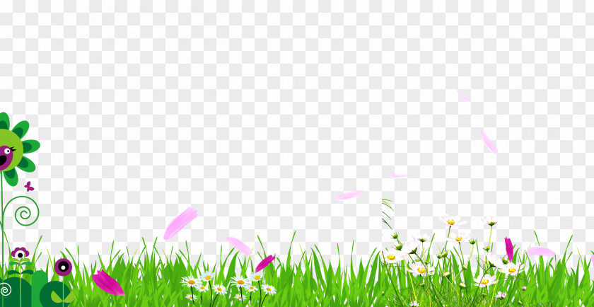 Grass Background Download Meadow Fundal PNG