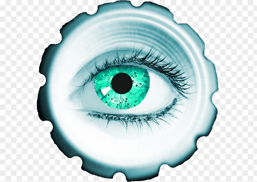 Green Eye Royalty-free Stock Photography Good Manufacturing Practice PNG