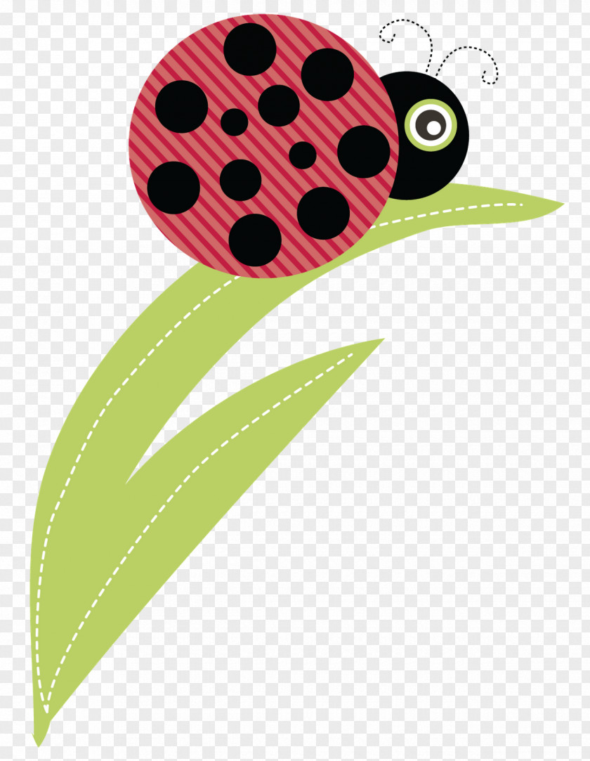 Organizing Movies Ladybird Beetle Clip Art Image Logo PNG