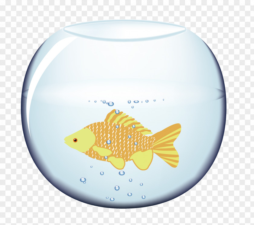 Aquarium Fish Blue Orange PNG