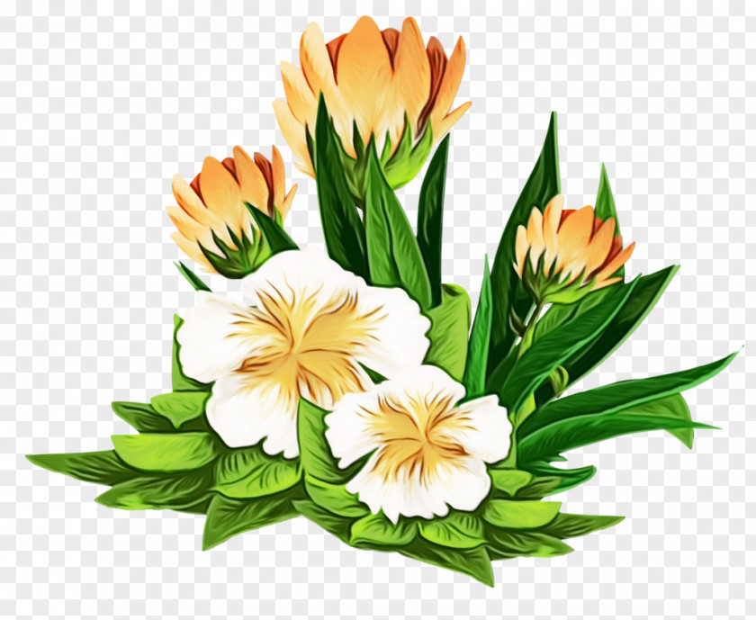 Artificial Flower Tulip Lily Cartoon PNG