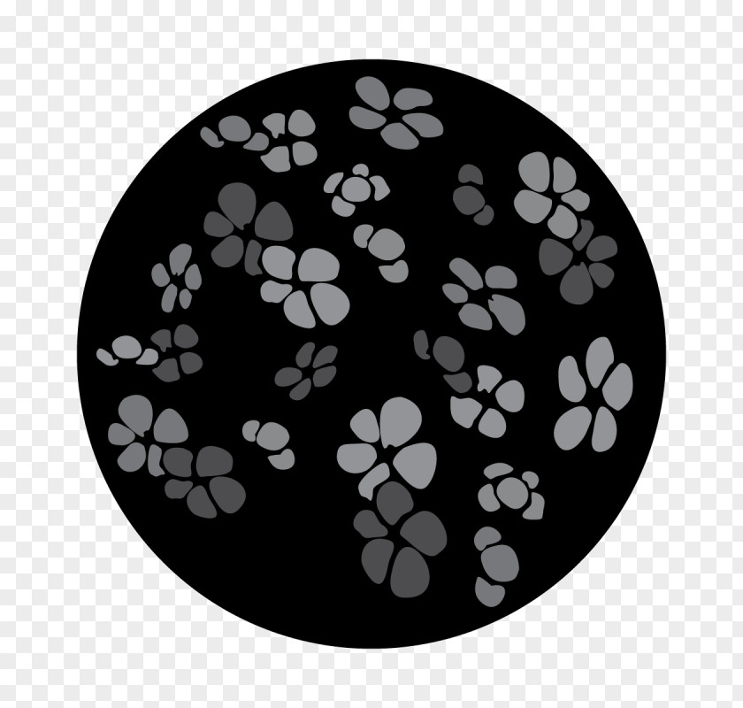Gobo Sphere Design Pattern Lighting Cherry Blossom PNG