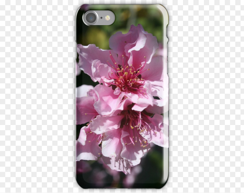 Peach Tree Blossom Flower Tapestry The Tao Of Zen Taoism PNG