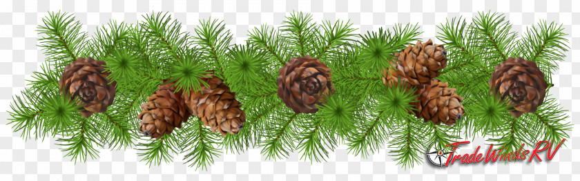 Pine Cone Christmas Decoration Garland PNG