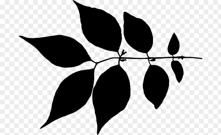 Twig Leaf Clip Art Plant Stem Flower PNG