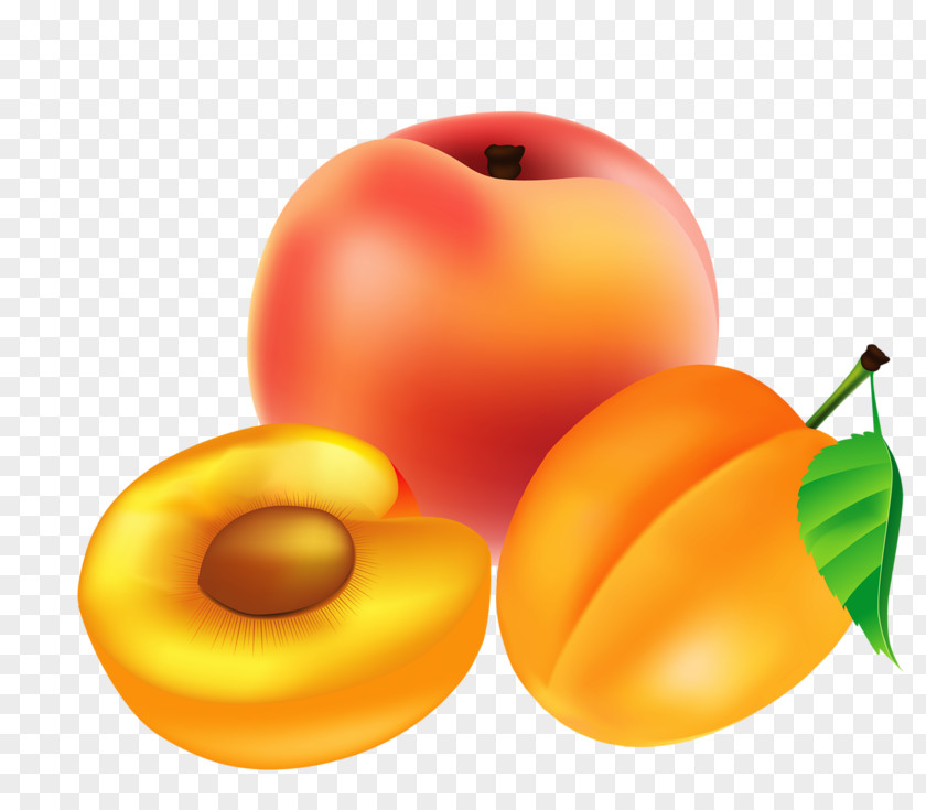 Apricot Apple Peach PNG
