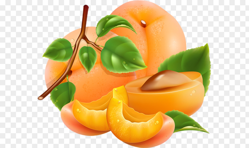 Apricot Peach PNG