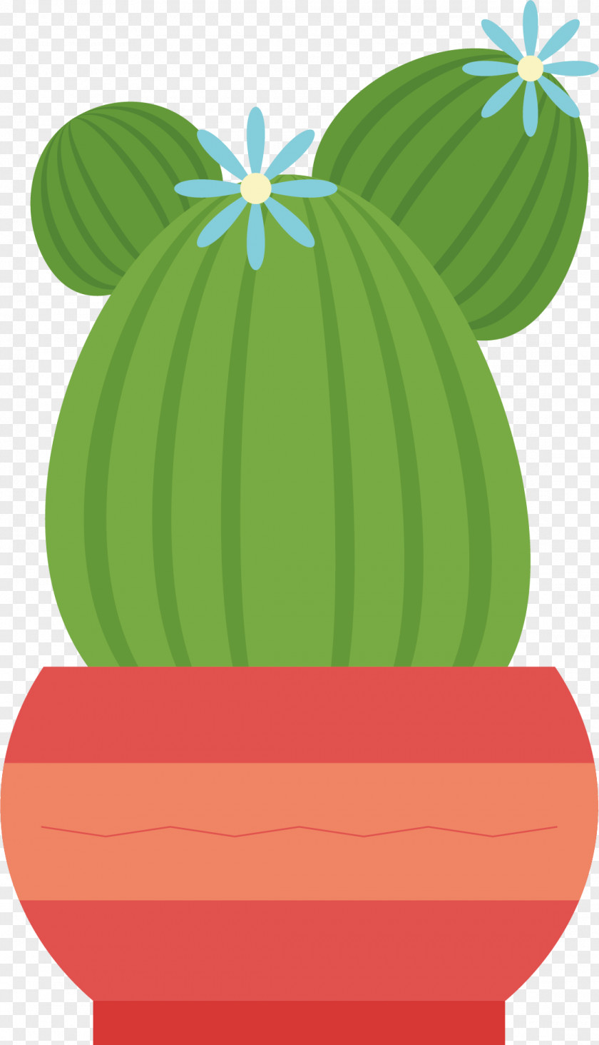Cactus Vector Euclidean Cactaceae Clip Art PNG