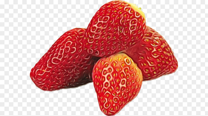 Frutti Di Bosco Superfood Watercolor Plant PNG