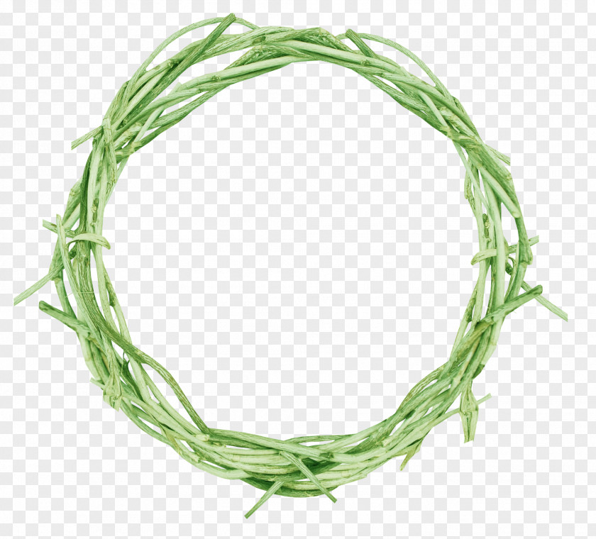 Grass Ring Picture Frame Photography PNG