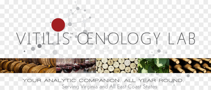 Wine Winemaker Vitilis Oenology Lab Services Wikipedia PNG