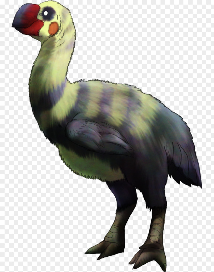 Duck Goose Flightless Bird Bullockornis PNG