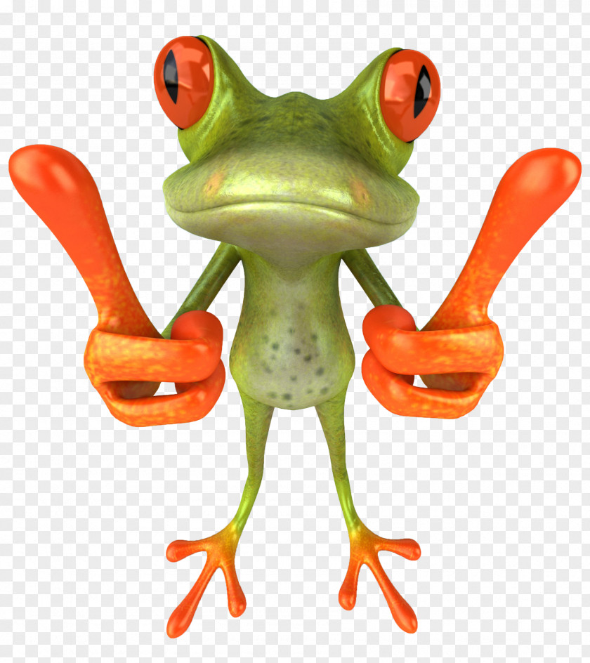 Flayer Red-eyed Tree Frog Amphibian Thumb Signal Toad PNG