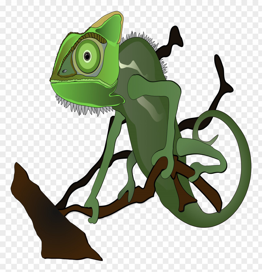 Lizard Chameleons Clip Art PNG