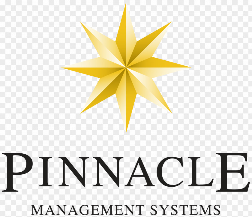 Pinnacle Business Systems Southern Equine Expo Surgery South Lake Tahoe House MENACORP PNG