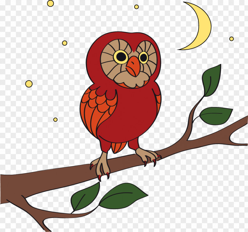 Vector Owl Bird Cartoon PNG