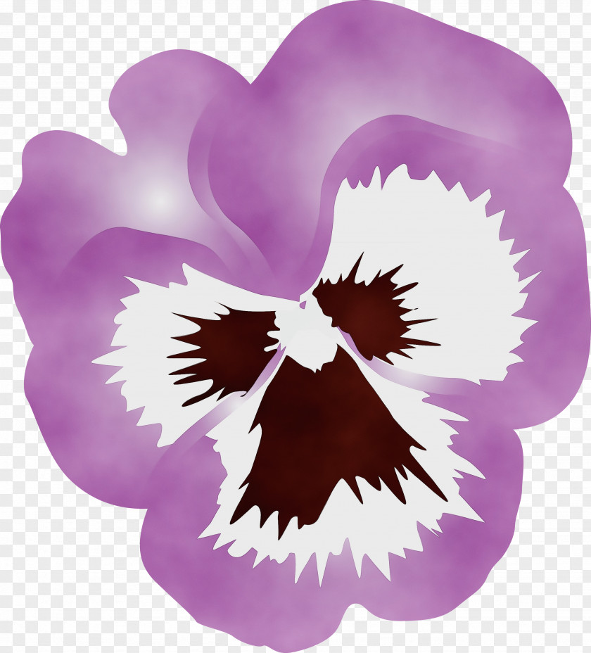 Violet Purple Flower Plant Petal PNG
