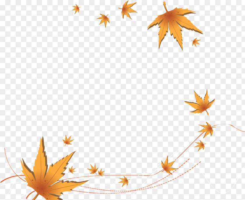 Yellow Autumn Maple Leaves Leaf Euclidean Vector PNG
