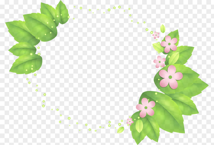 Flower Plant Leaf Green Clip Art PNG