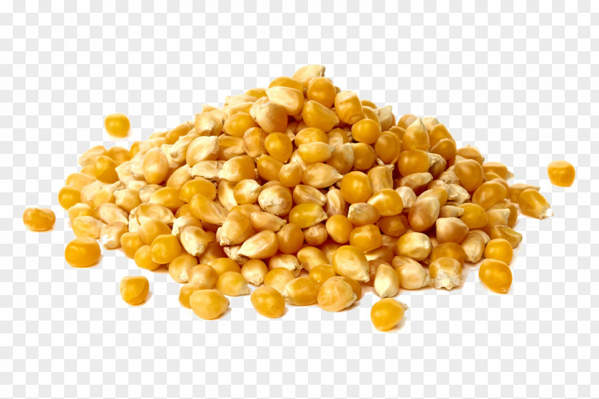 Grains Grits Animal Feed Maize Cornmeal Sweet Corn PNG