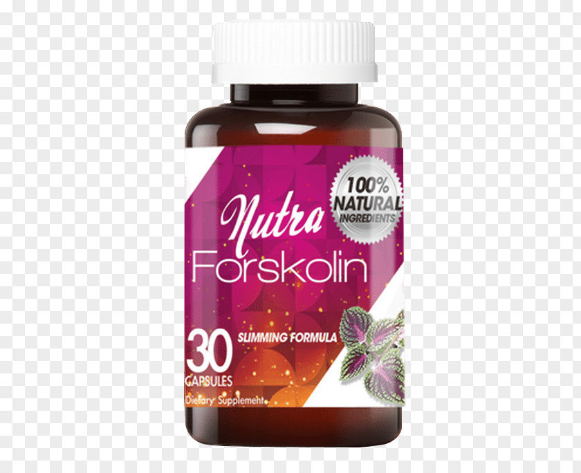 Healthy Weight Loss Forskolin Dietary Supplement Coleus Dieting PNG