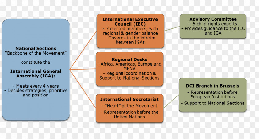 Organs Organizational Chart Structure Secretary PNG