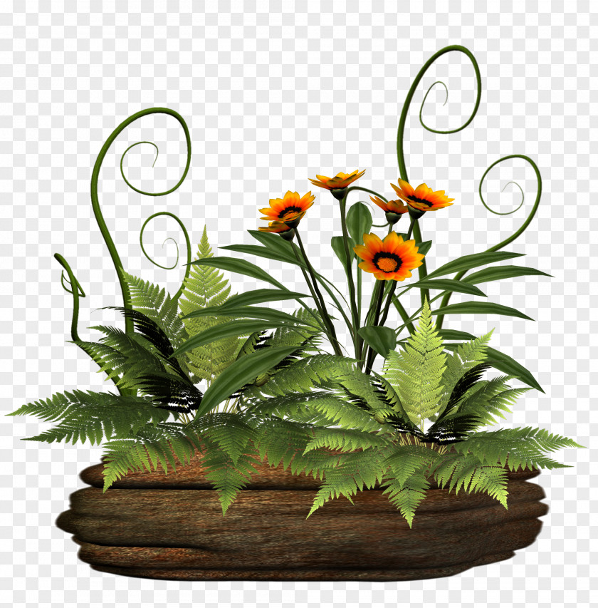 Potted Green Plants Android Plant Flower Photography PNG