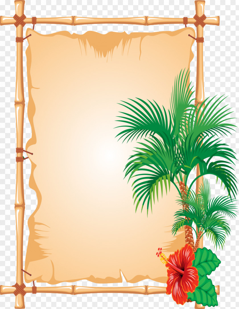 Tropical Frame Bulletin Board PNG