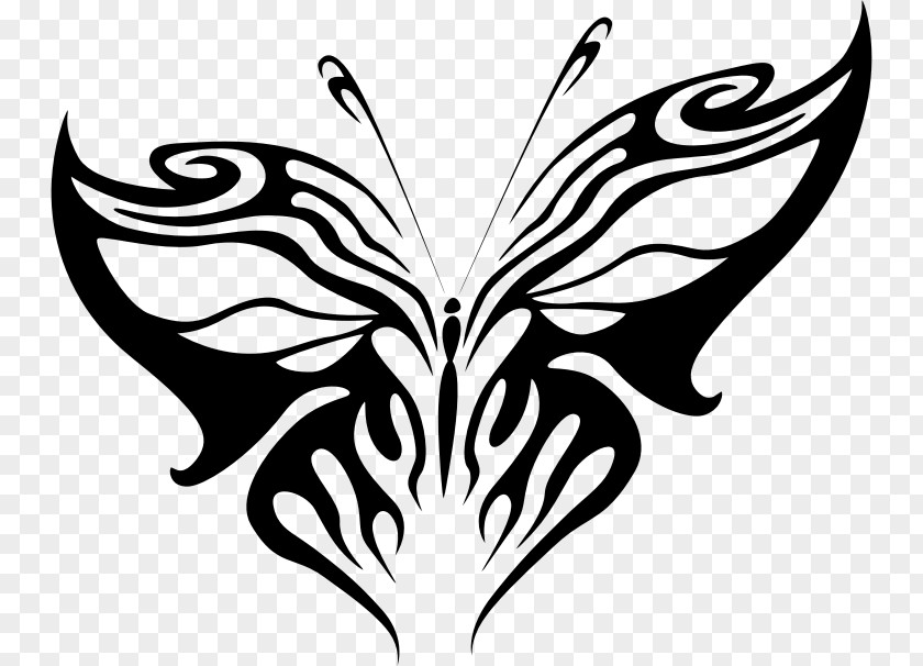 Clipart-butterfly Drawing Clip Art PNG