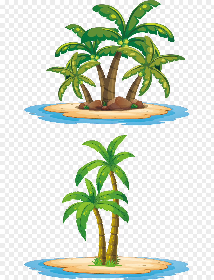 Coconut Tree Vector Island Arecaceae Illustration PNG