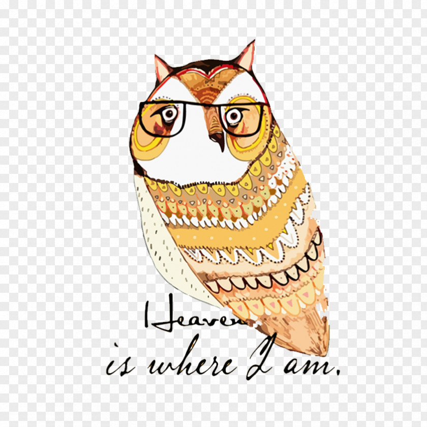Creative Owl Drawing Art Illustration PNG