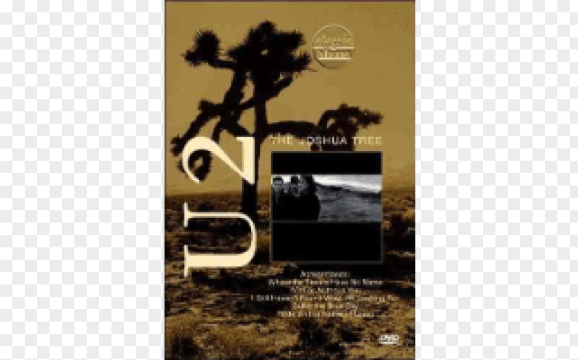 Dvd The Joshua Tree Unforgettable Fire Tour U2 Ultraviolet (Light My Way) DVD PNG
