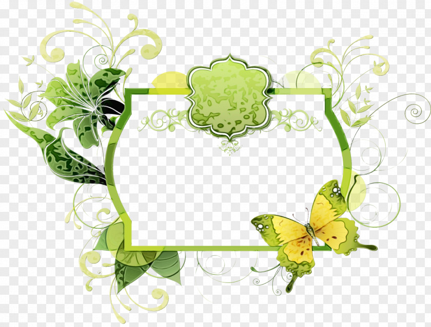 Floral Design Line Art Background Green Frame PNG